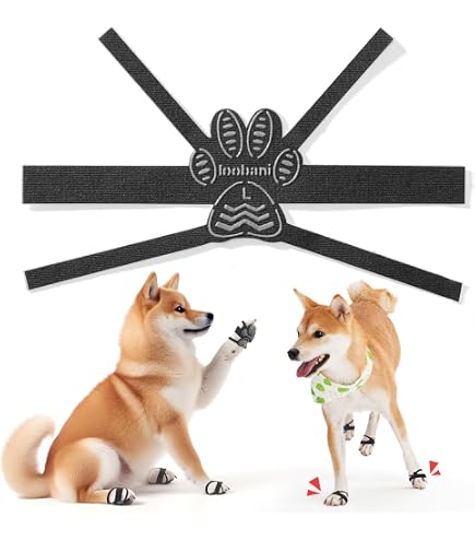 Amazon.co.jp: 犬用4輪車椅子 歩行器 8キロ以上 15キロ未満 オーダー